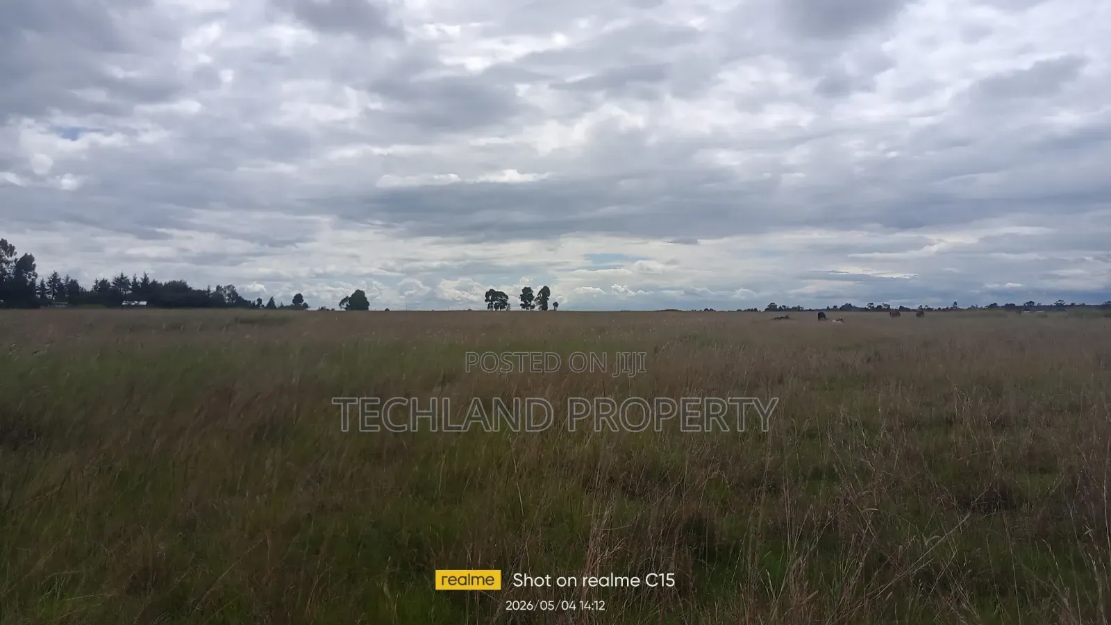 7acres Imenti Makutano Lamuria