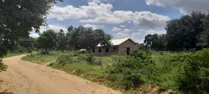 Palakumi/Ganze