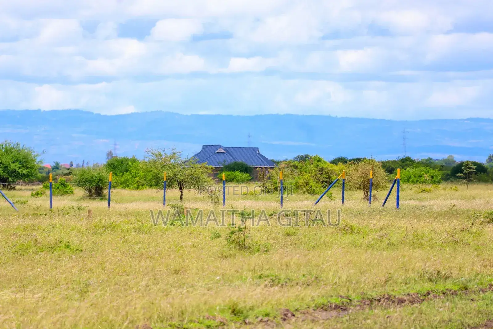 Affordable Plots For Sales In Thika Muthaara