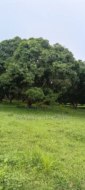 4 Acres Onsale Within Malindi Msabaha Area