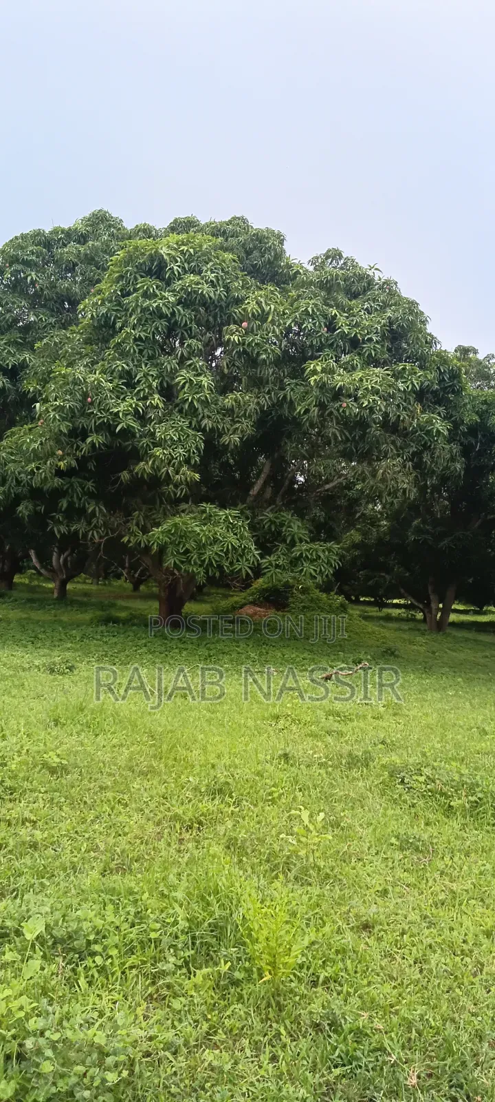 4 Acres Onsale Within Malindi Msabaha Area