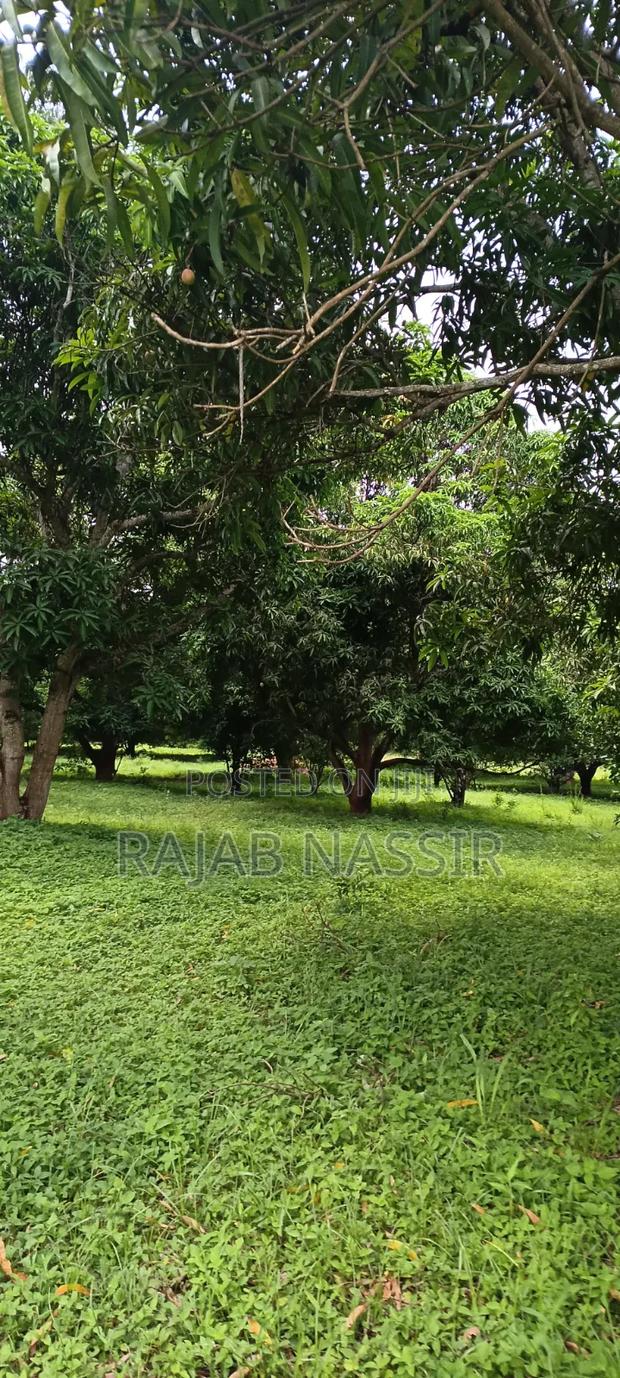 4 Acres Onsale Within Malindi Msabaha Area - thumbnail 3