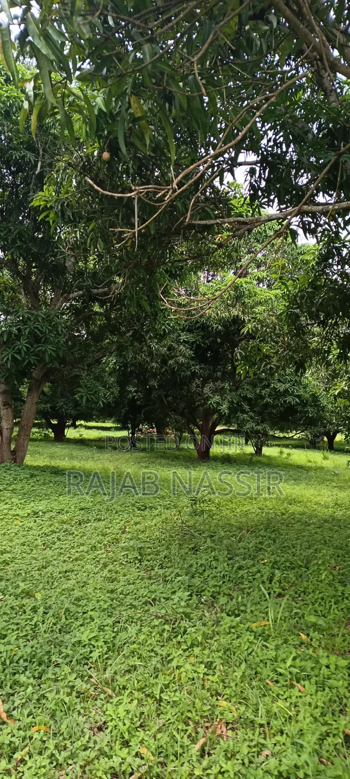 4 Acres Onsale Within Malindi Msabaha Area