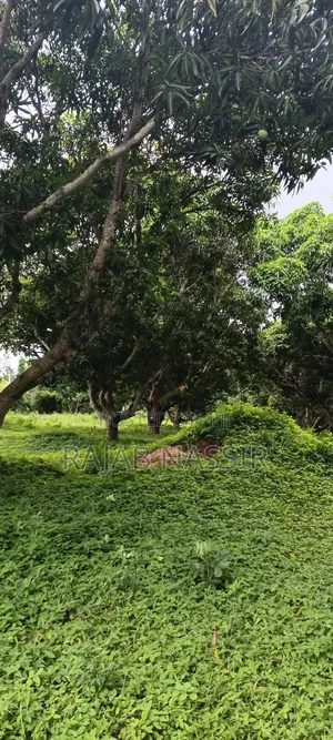 4 Acres Onsale Within Malindi Msabaha Area