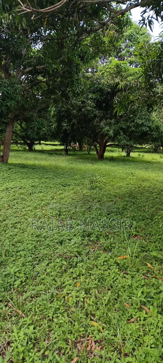 4 Acres Onsale Within Malindi Msabaha Area - thumbnail 6