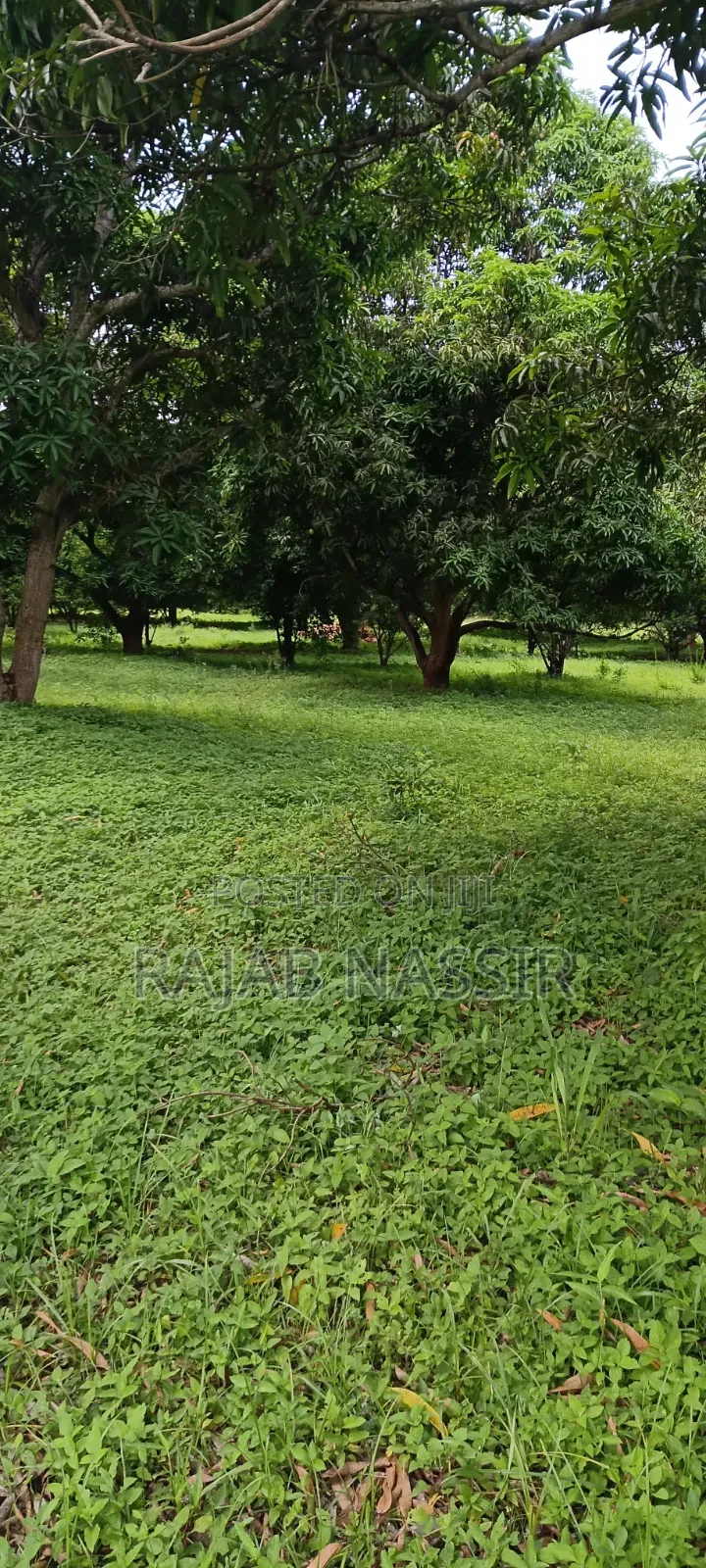 4 Acres Onsale Within Malindi Msabaha Area