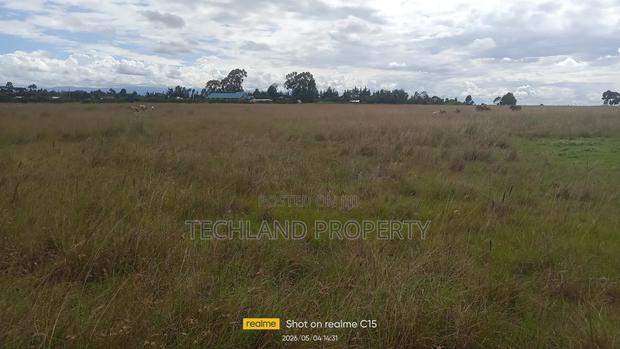 8acres Sweetwater's Nanyuki