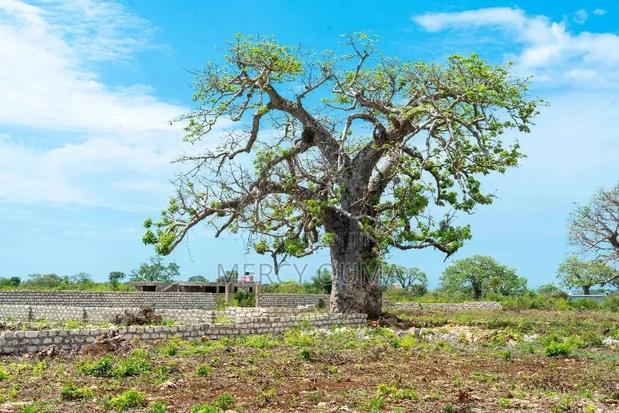 50 by 100 Property for Sale in Kwale - main view
