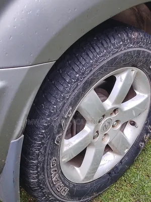 Nissan X-Trail 2005 Silver