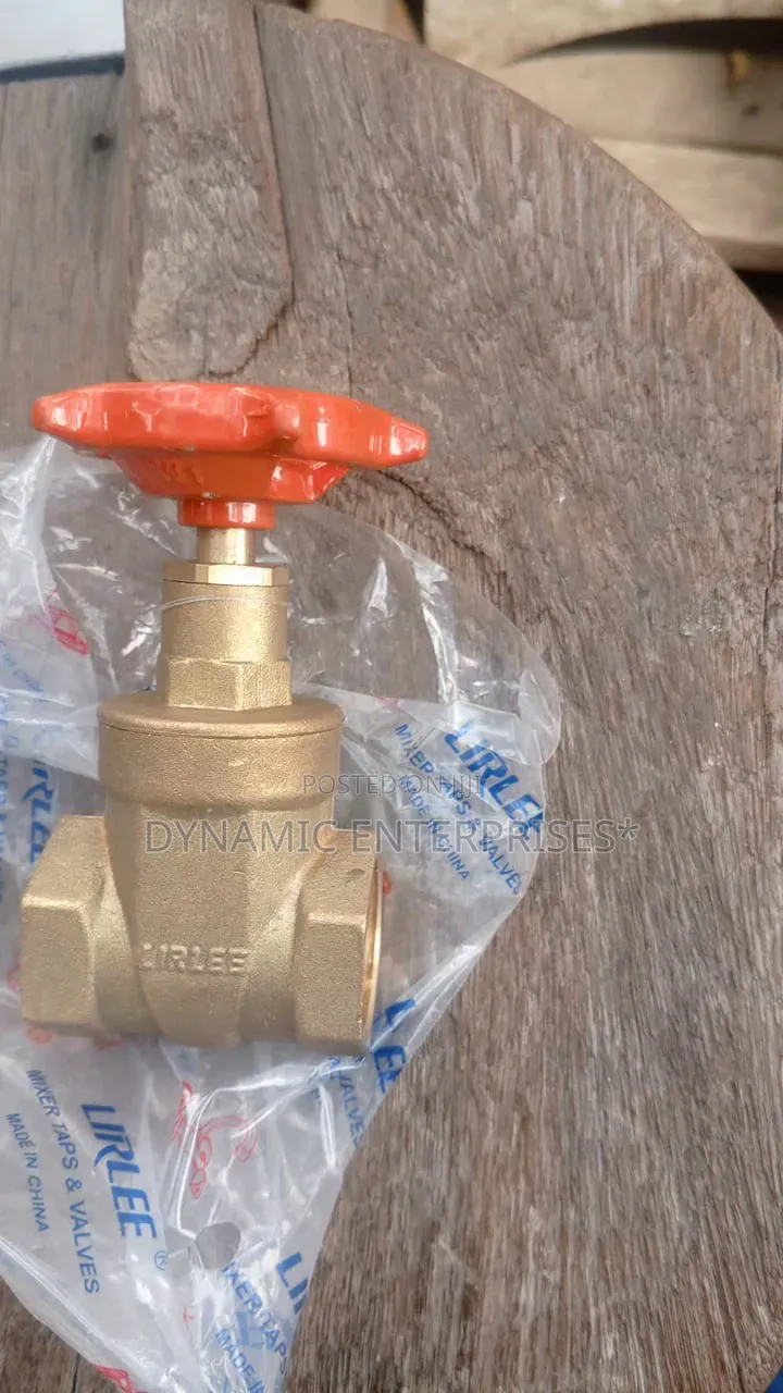 3/4 Heavy-Duty Brass Gate Valve