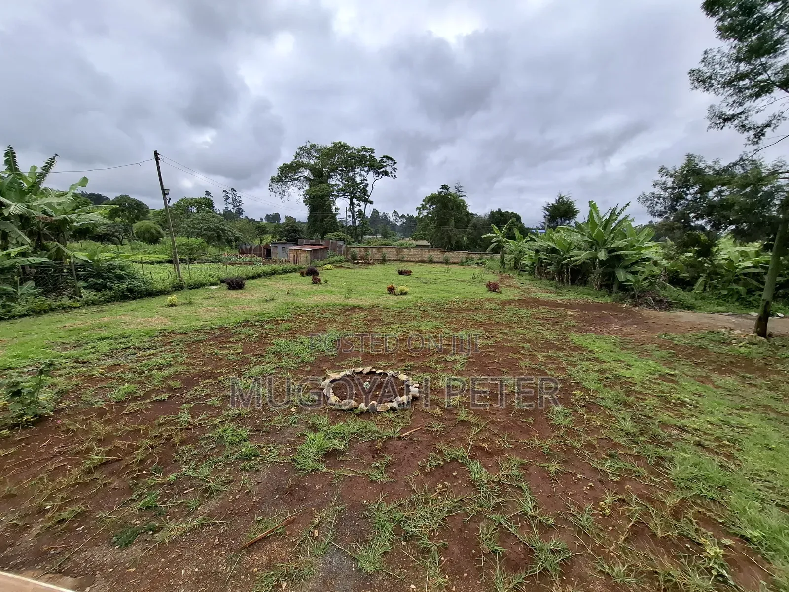 3bdrm Farm House in Tigoni for rent