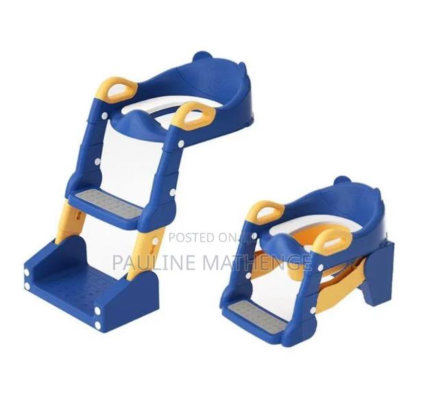 Toilet Ladder and Potty