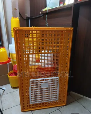 Chicken Transportation Crates