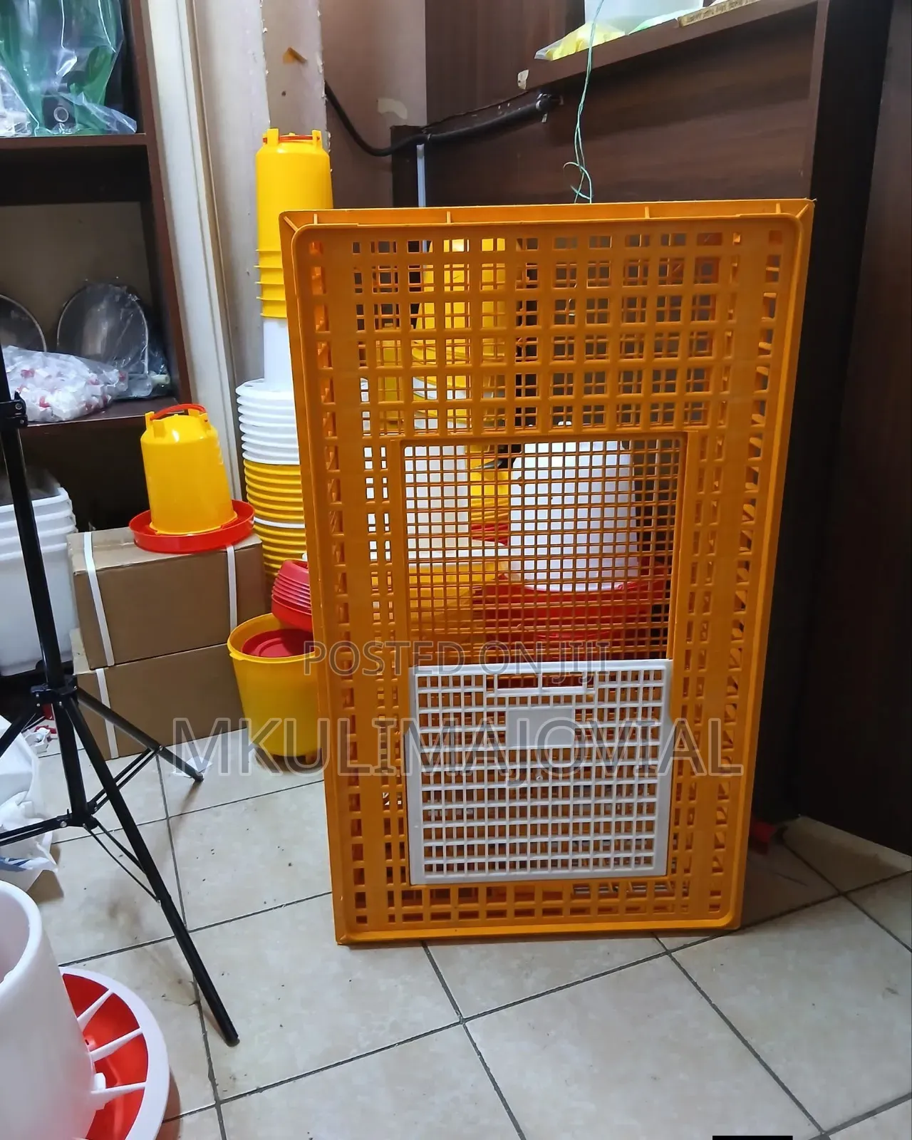 Chicken Transportation Crates