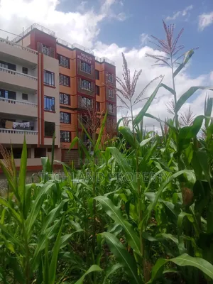 1/8acre Plot Ruiru Kiambu