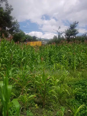 1/8acre Plot Ruiru Kiambu