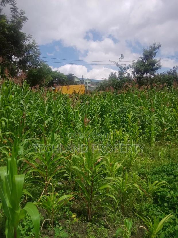 1/8acre Plot Ruiru Kiambu - thumbnail 5