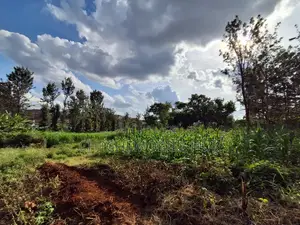 Plot for Sale 40*100 Near Kamuthi Housing Co-Op NXT to Northern Bypass