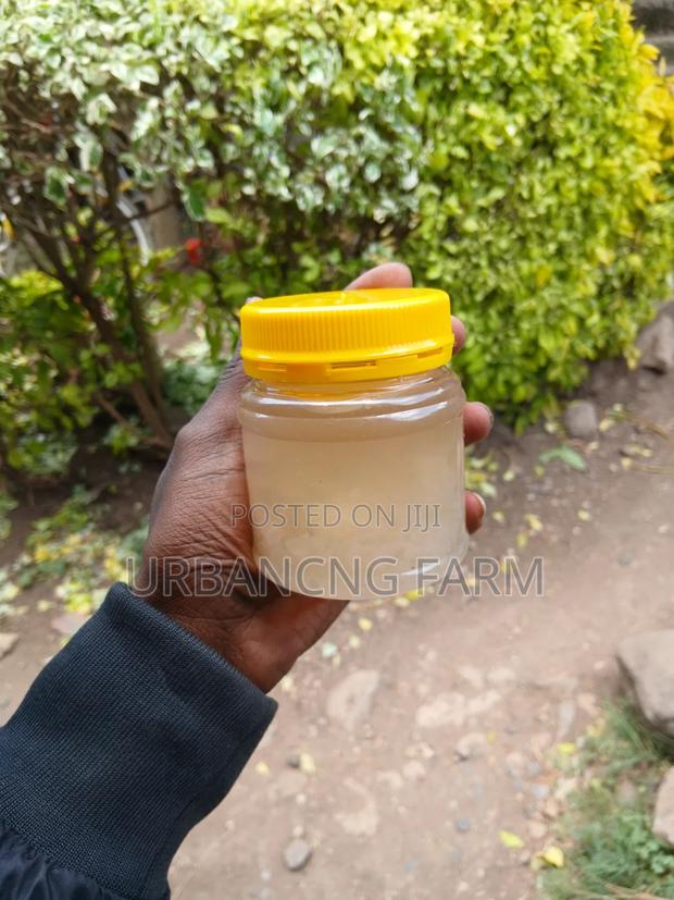 Water Kefir Grains - thumbnail 3