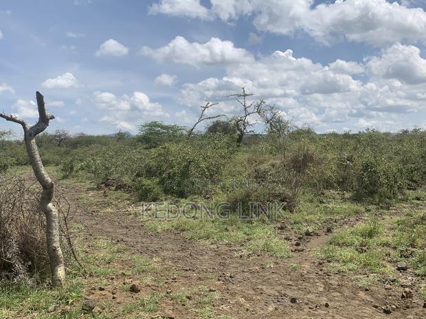 5 Acres Ewuaso Kedong Ngong-Suswa Rd - thumbnail 3