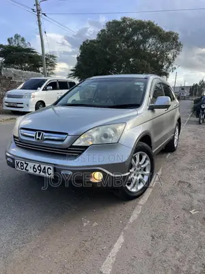 Honda CR-V 2009 Gray