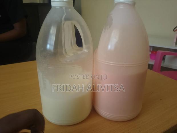 Home Made Probiotic Yogurt