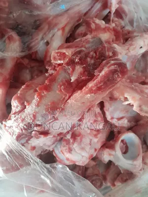 Food for Dogs