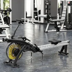 Commercial Air Rower