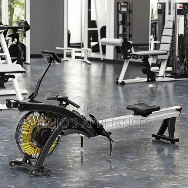 Commercial Air Rower