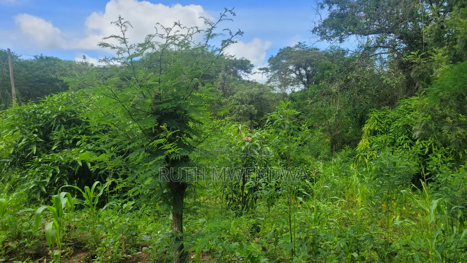 Land for Sale Near Kitui Town