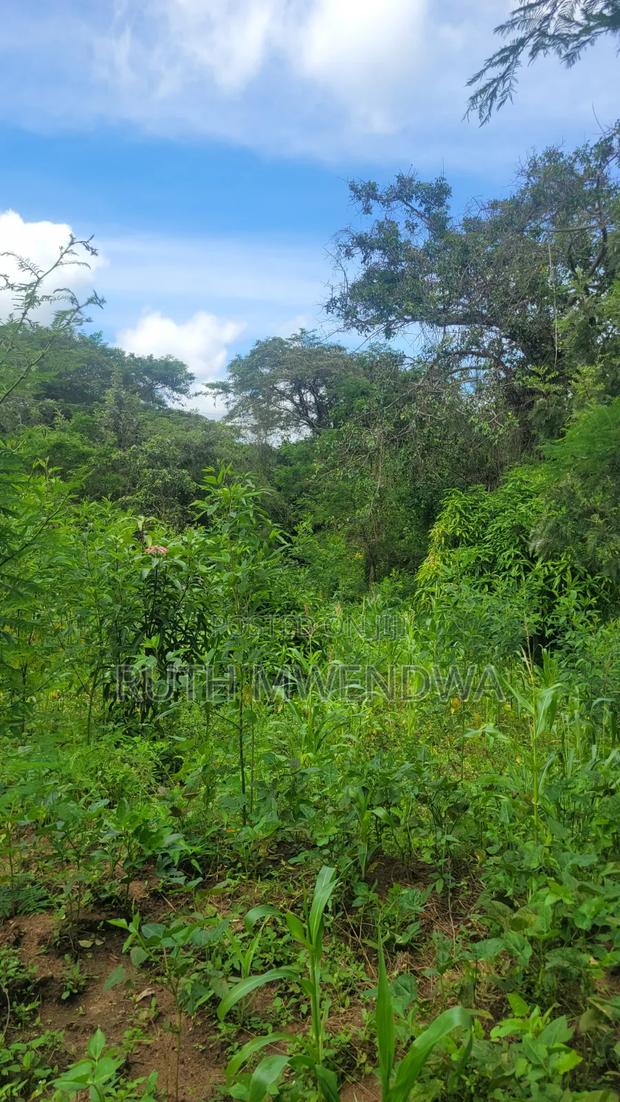 Land for Sale Near Kitui Town - thumbnail 6