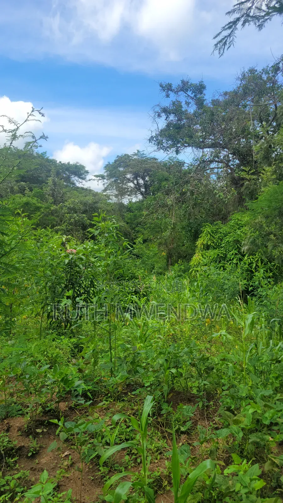 Land for Sale Near Kitui Town