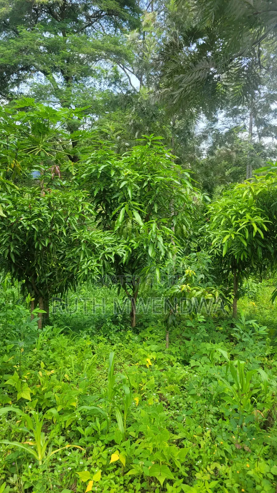 Land for Sale Near Kitui Town