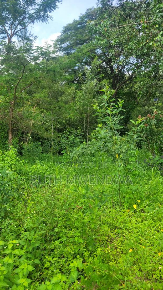 Land for Sale Near Kitui Town - thumbnail 9