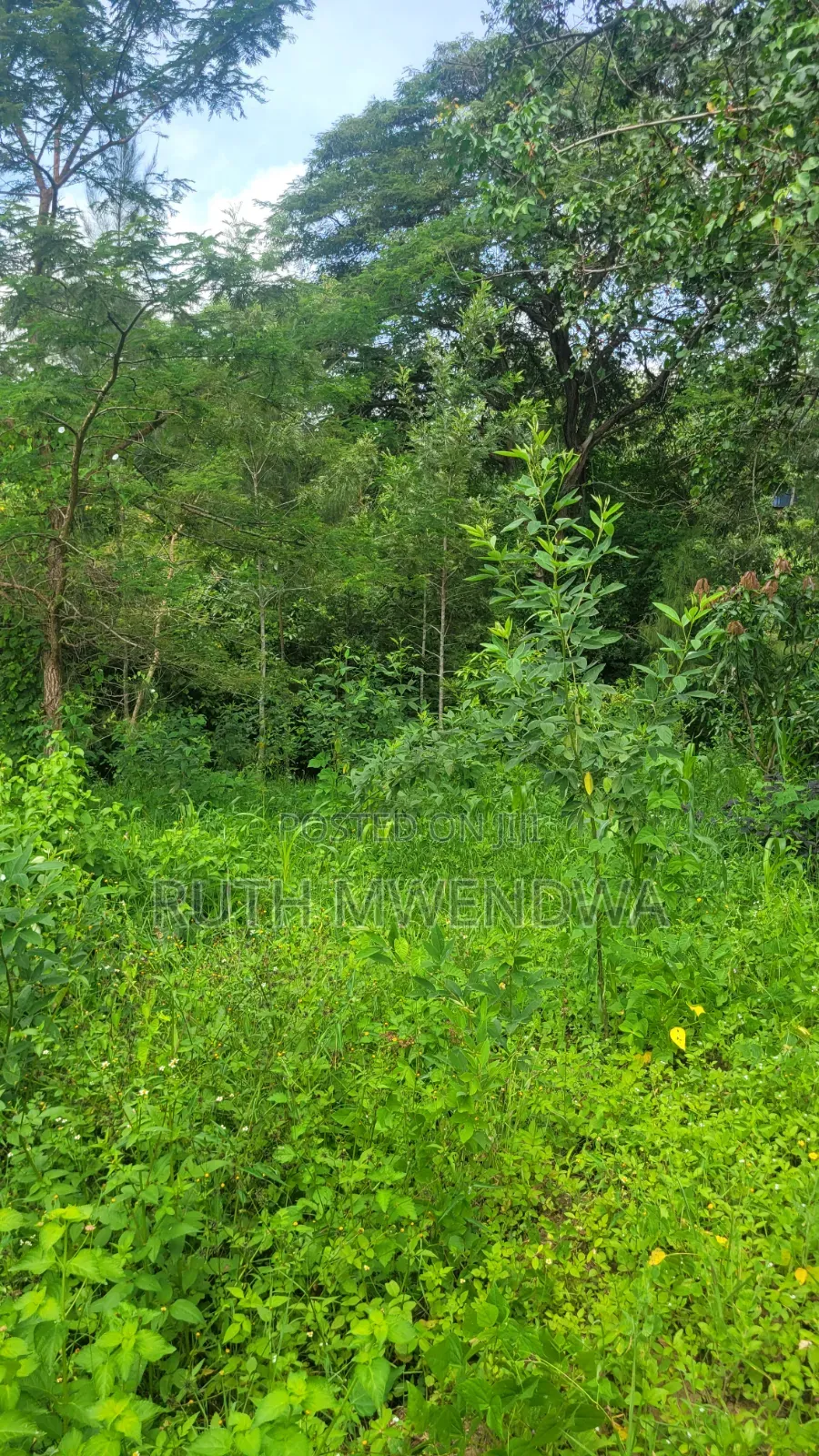 Land for Sale Near Kitui Town