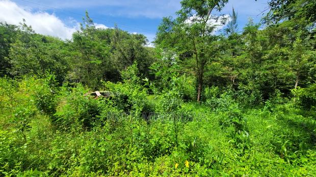 Land for Sale Near Kitui Town - thumbnail 13