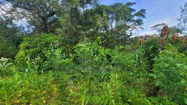 Land for Sale Near Kitui Town - thumbnail 14