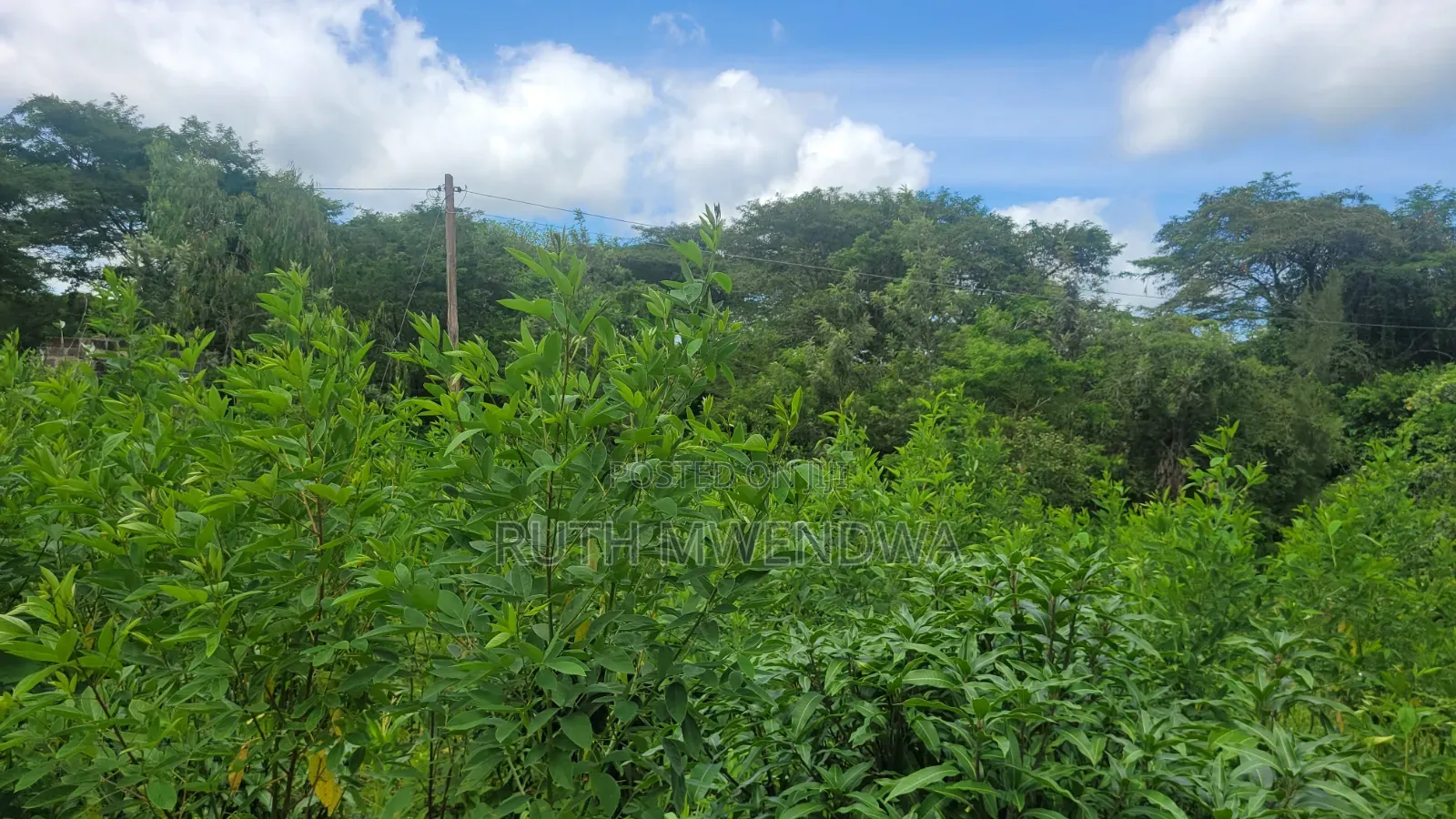 Land for Sale Near Kitui Town
