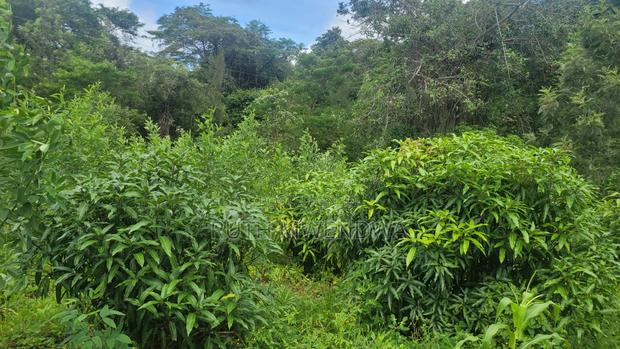 Land for Sale Near Kitui Town - thumbnail 16