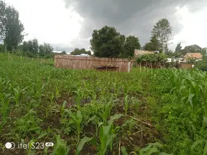 Prime 1/8 Acre Plot for Sale – Bahati, Nakuru Secure This Prime 50×100