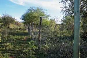 32 Acres for Sale in Osilalei Kajiado Near Bulls Eye