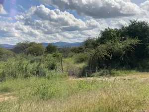 Land for Sale Mashuru,Kajiado