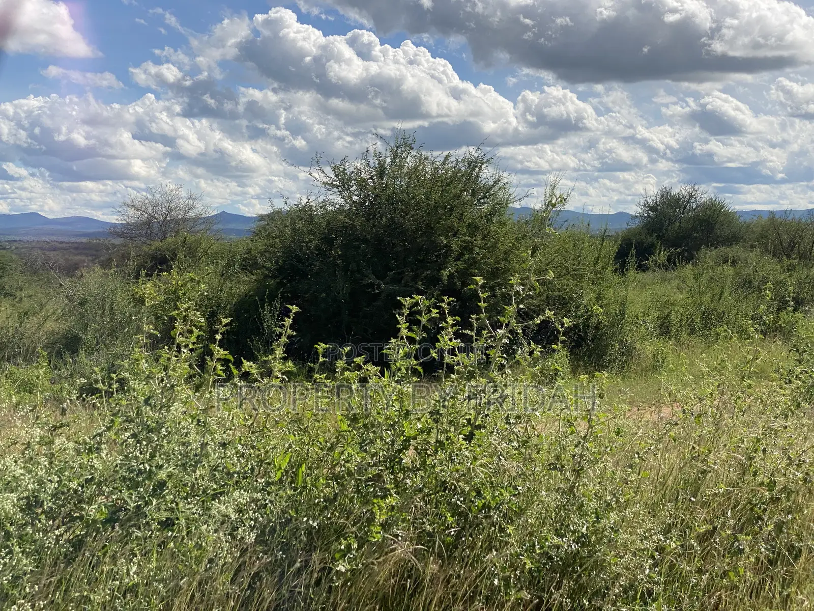 Land for Sale Mashuru,Kajiado