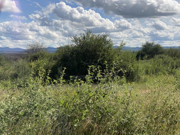 Land for Sale Mashuru,Kajiado - thumbnail 3