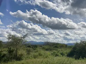 Land for Sale Mashuru,Kajiado