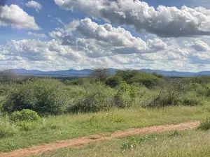 Land for Sale Mashuru,Kajiado