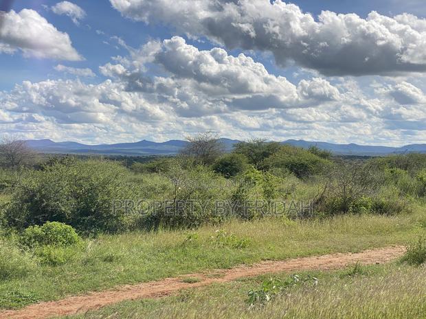 Land for Sale Mashuru,Kajiado - thumbnail 5