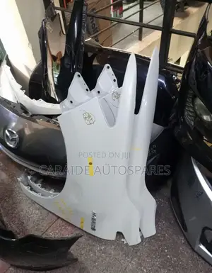 Harrier 2018 Fender/Wing