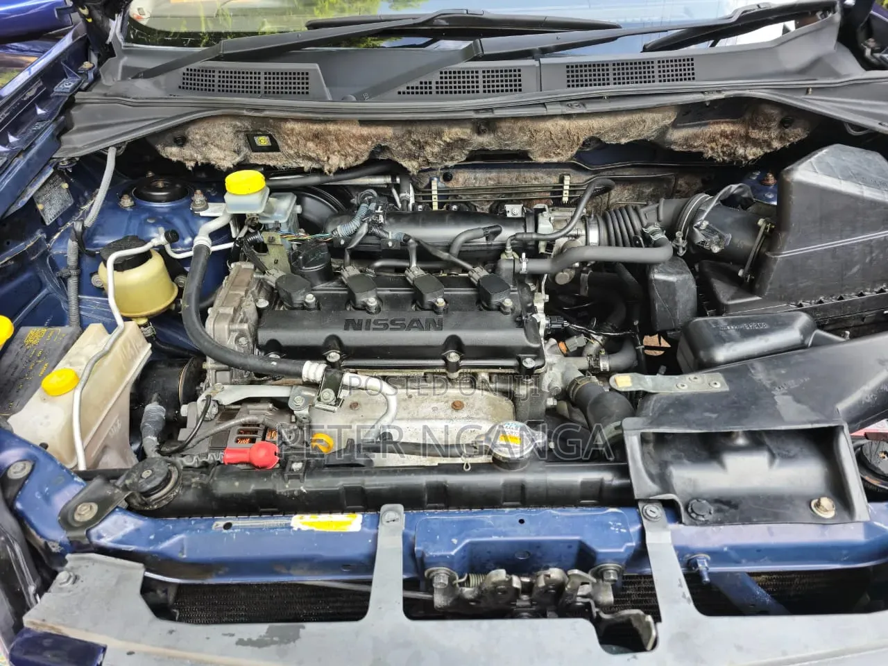 Nissan X-Trail 2004 Blue