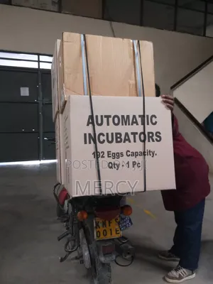 Automatic Incubators